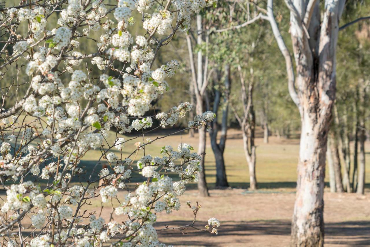 Thistle Hill Guesthouse - Walk To Many Wineries And Restaurants Pokolbin Exteriör bild
