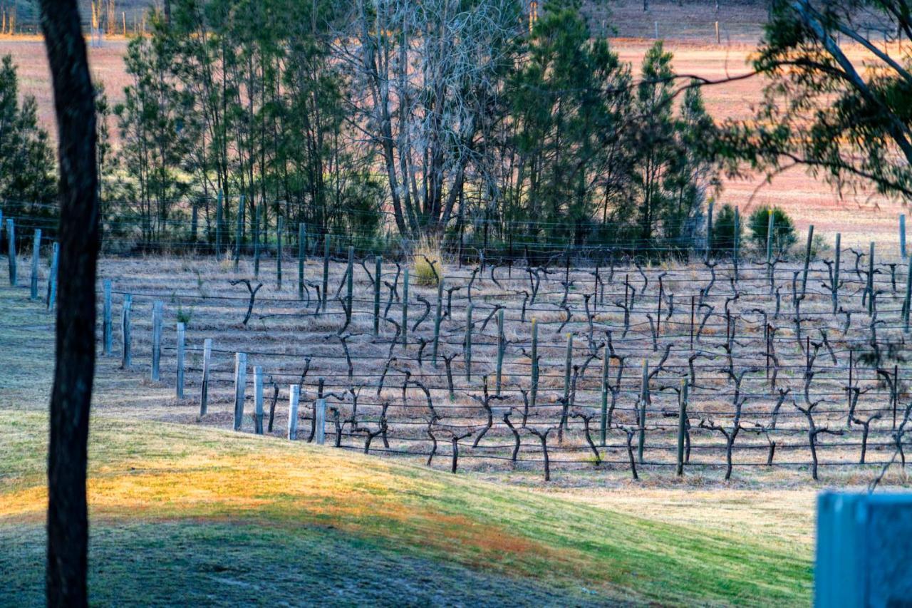 Thistle Hill Guesthouse - Walk To Many Wineries And Restaurants Pokolbin Exteriör bild