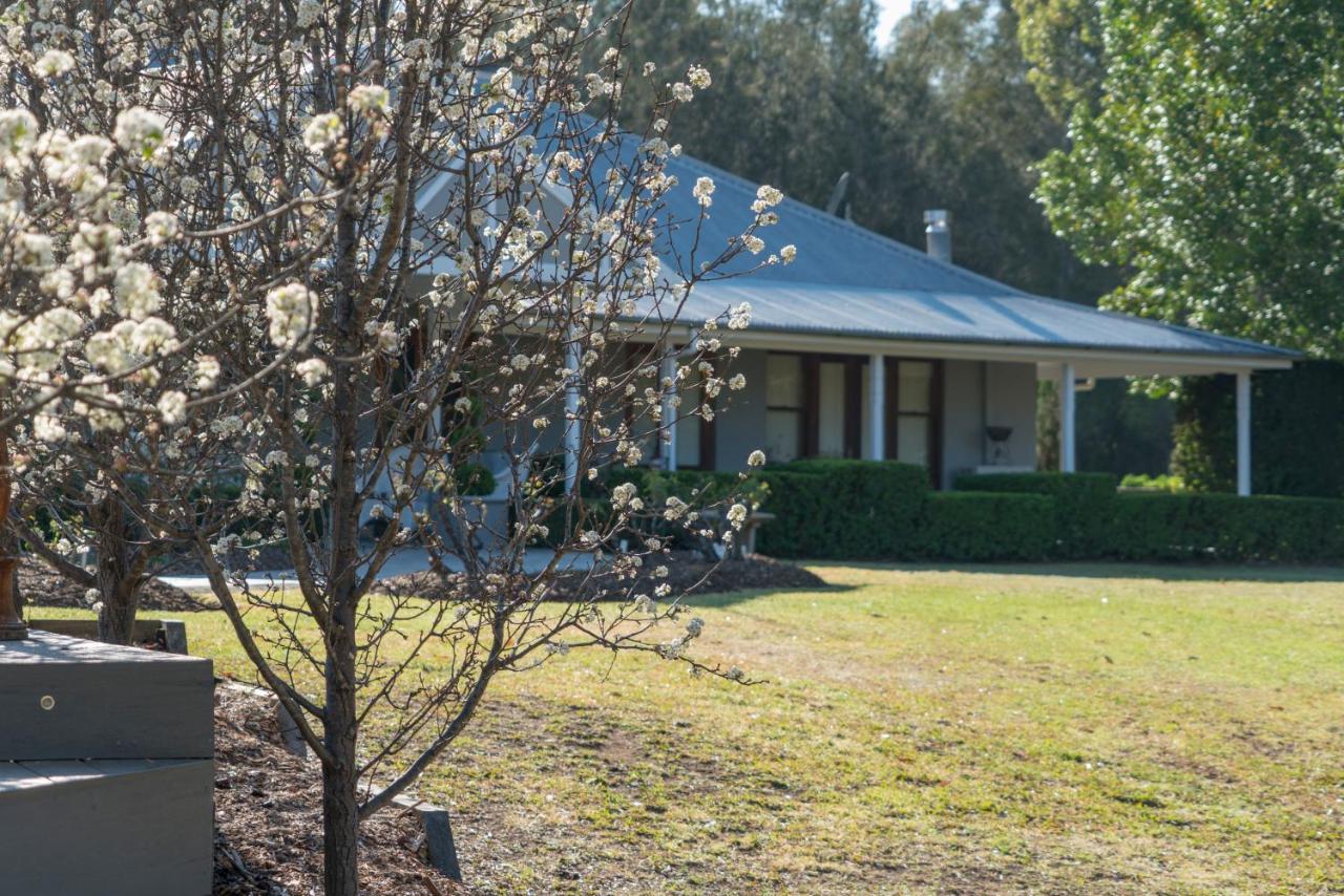 Thistle Hill Guesthouse - Walk To Many Wineries And Restaurants Pokolbin Exteriör bild