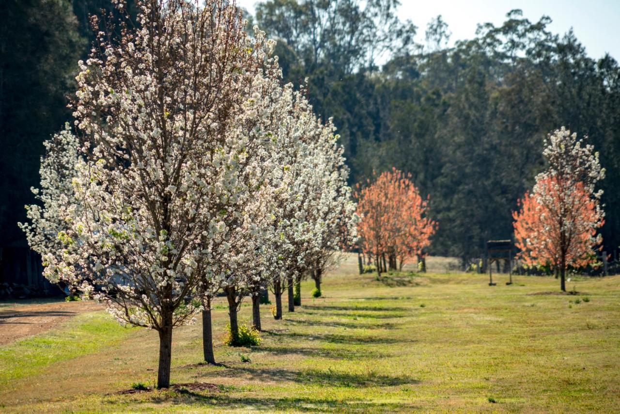 Thistle Hill Guesthouse - Walk To Many Wineries And Restaurants Pokolbin Exteriör bild