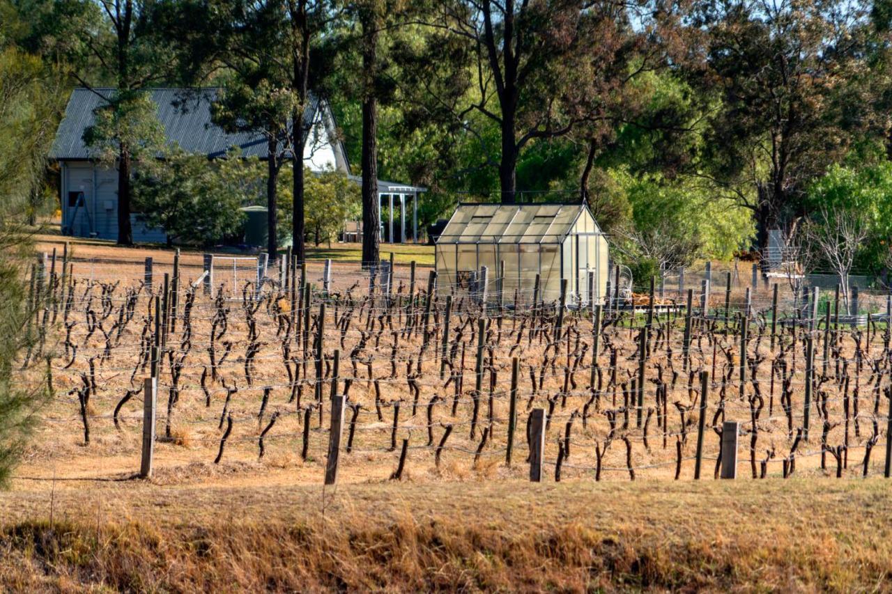 Thistle Hill Guesthouse - Walk To Many Wineries And Restaurants Pokolbin Exteriör bild